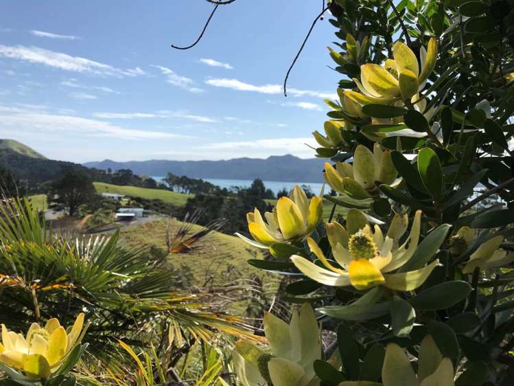 130a Wattle Bay Road Manukau Heads_2