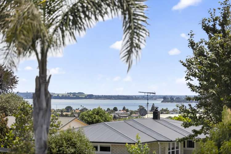 10 Dysart Road Otumoetai_21