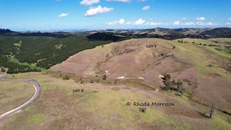 Golden Stairs Rd Maungaturoto_70