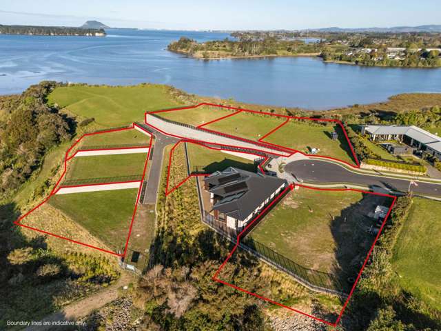 Introducing Lynley Park - Omokoroa Peninsula!
