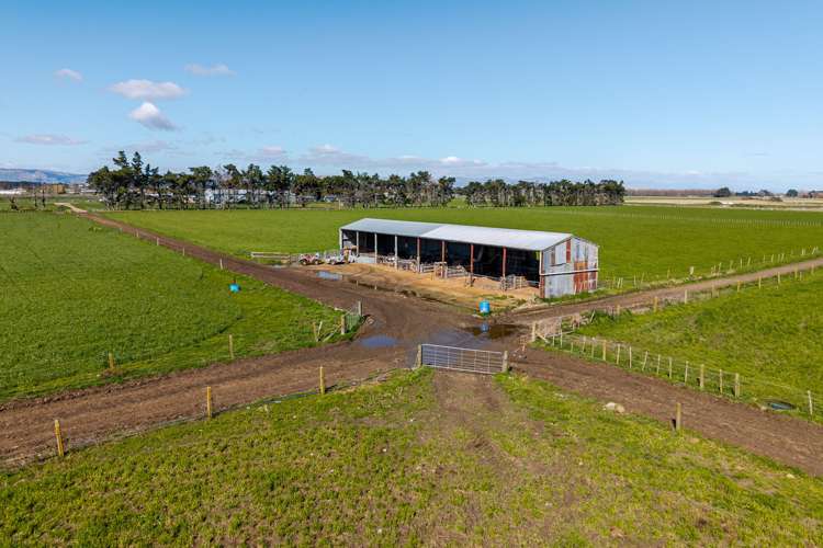 1040 Roberts Line Bunnythorpe_13