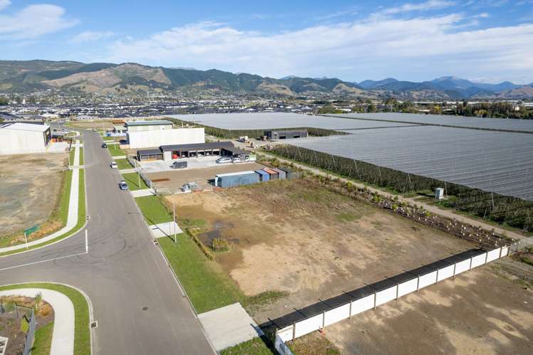 21 Coman Drive Appleby_3