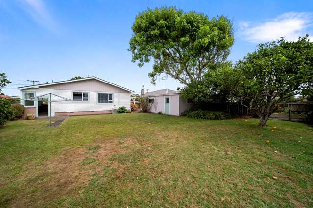 240 Omata Road Spotswood_1