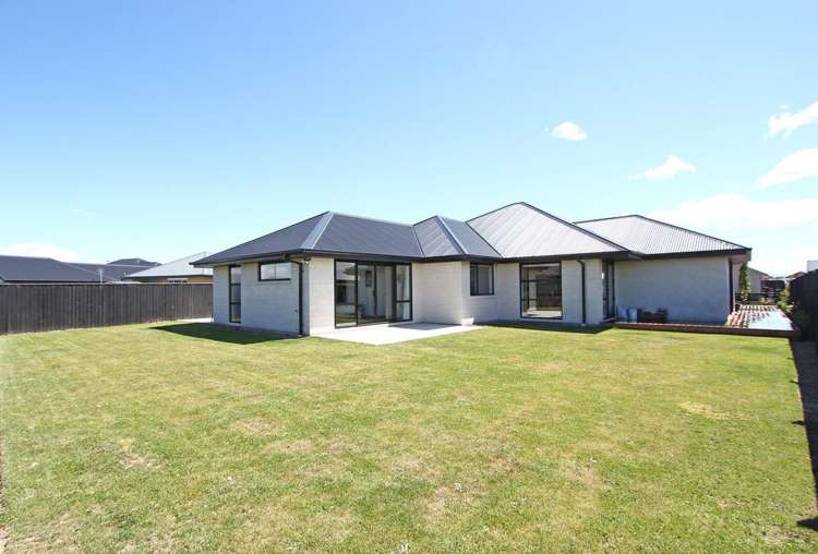 3 Navy Loop Rolleston_6