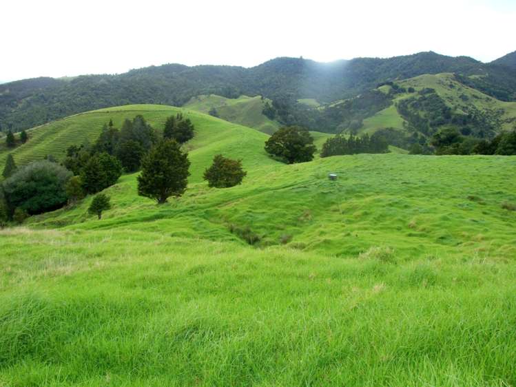 185 Takahue Saddle Road Takahue_14