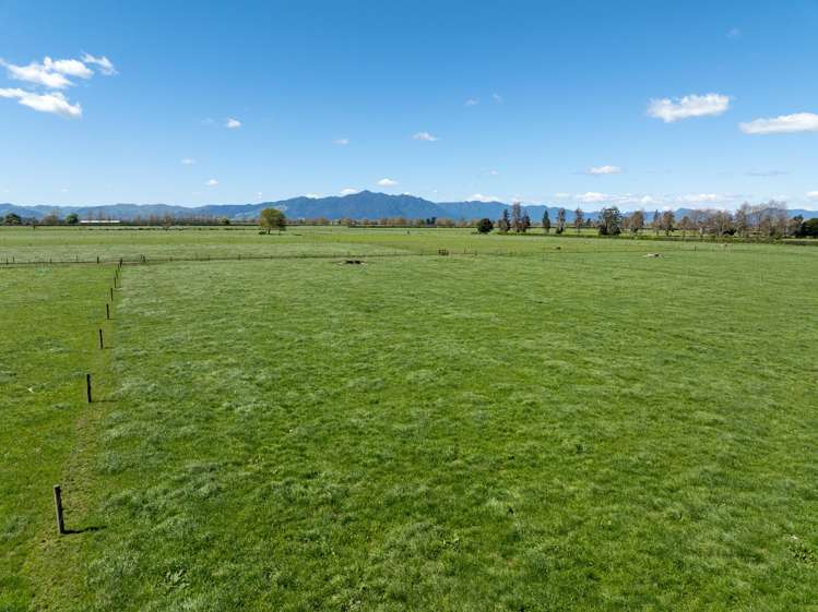 64 No 4 Road Morrinsville_14