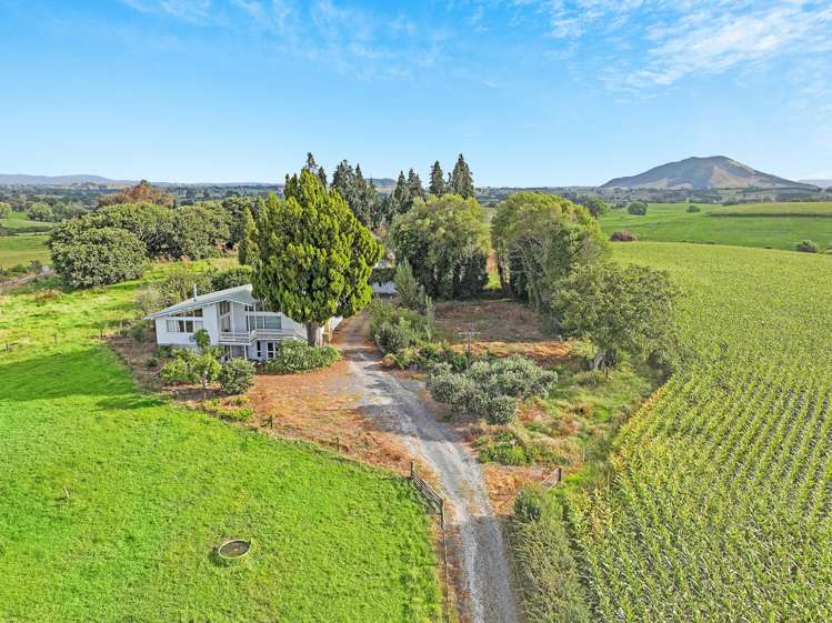 1599 Rewi Street Te Awamutu_9