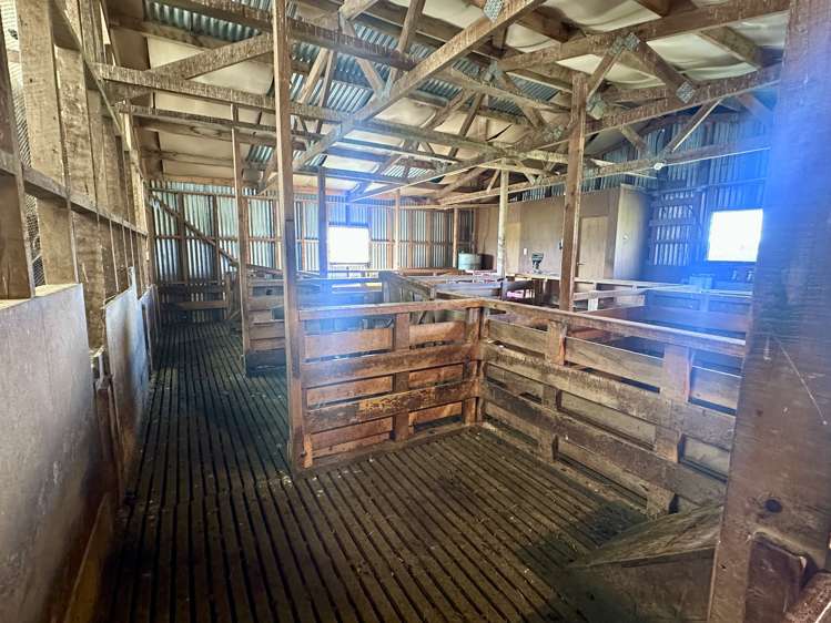 748 Makarewa Browns Road Ryal Bush_7