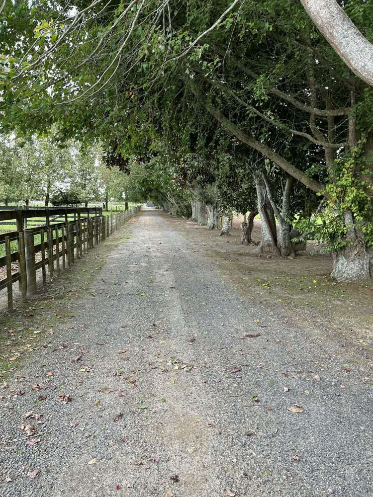 636b Bruntwood Road Tamahere_26