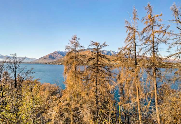 317 Frankton Road Queenstown_10