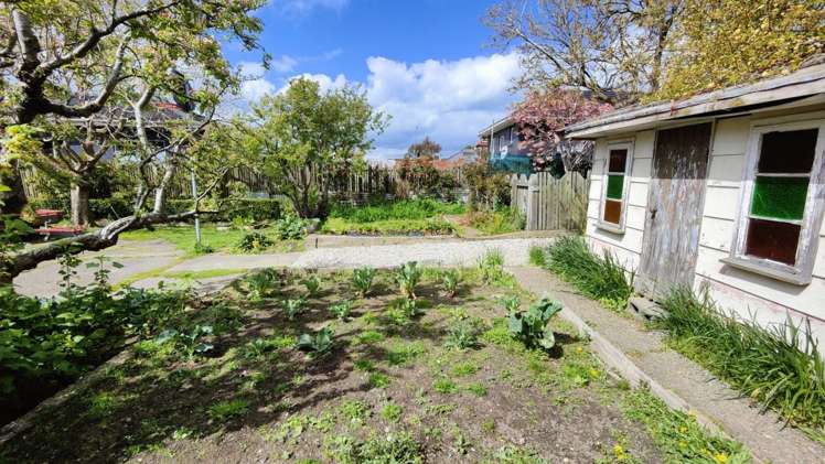 40 O'Hara Street Appleby_24