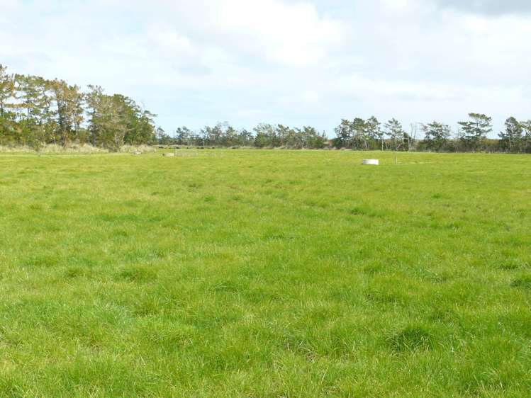 403c Kumi Road Awanui_16