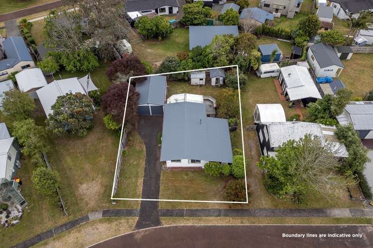 6 Pitkethley Circle Pauanui_18