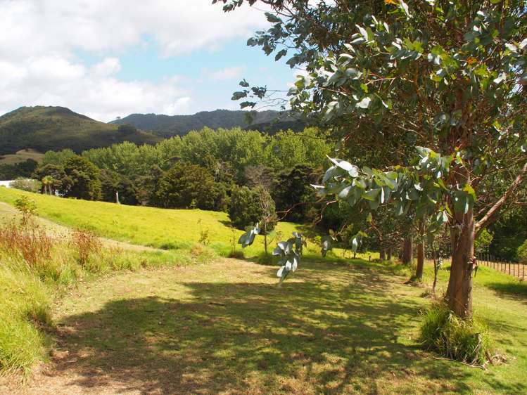 402b King Road Mangawhai_5