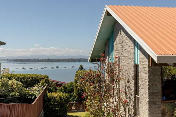 53 Coppelia Avenue Omokoroa_30