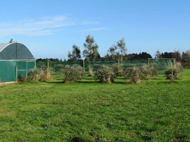 1113 Wanganui Road Turakina_19