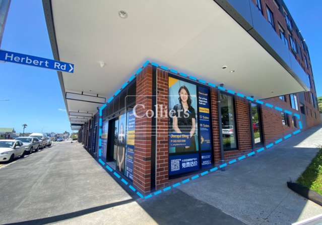 Unit G, 428  Dominion Road Mount Eden_3