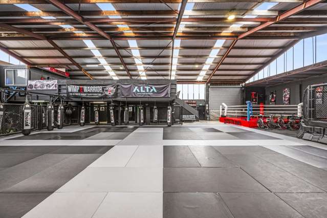 115 Diana Drive Wairau Valley_1