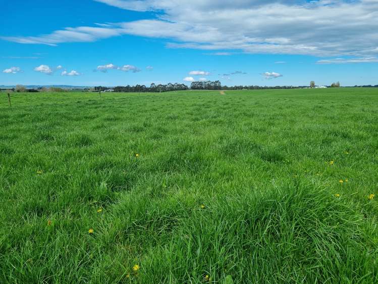 1794 Clydevale Road Clinton and Surrounds_5