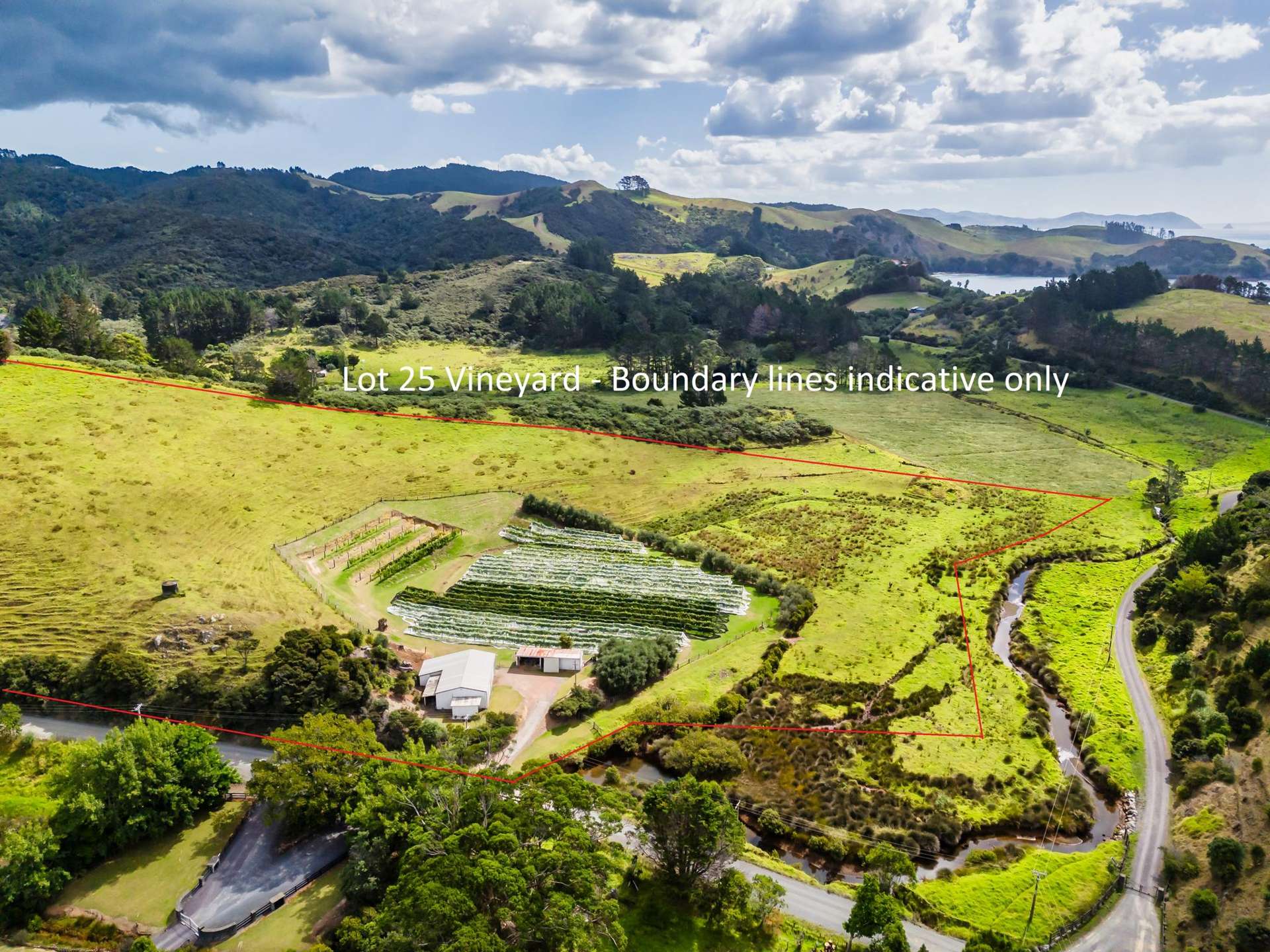 Mahinepua Road - Vineyard and Implement Sheds Mahinepua Peninsula_0