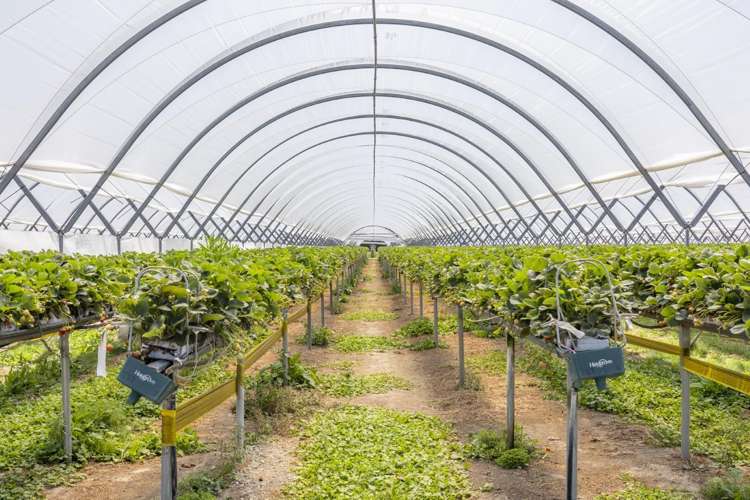 Thurley Place Bay View_6