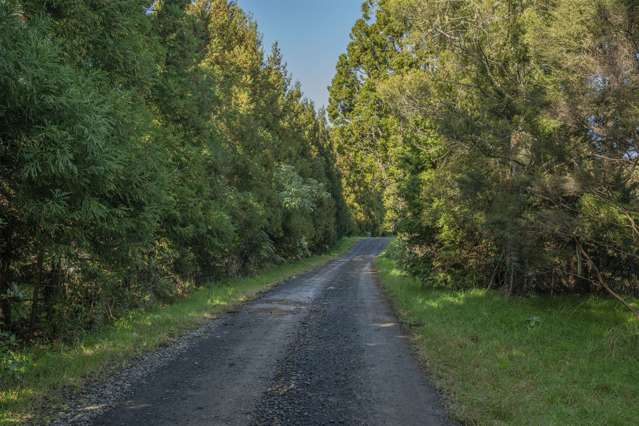 1878 The 309 Road Kaimarama_4