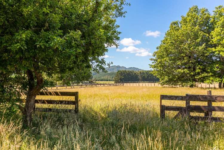 2331 Te Wharau Road Te Wharau_5