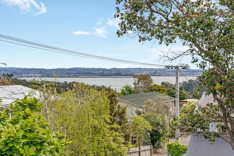 1/25a Balmain Road Birkenhead_16