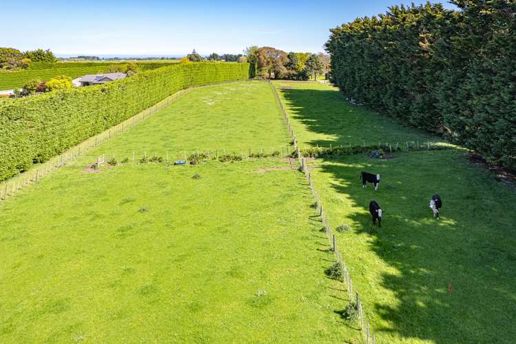 78a Lilybank Road Brunswick_15