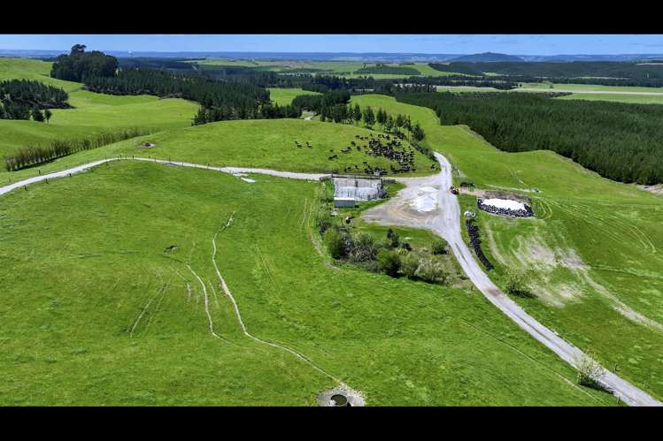 Korako Road Taupo_20