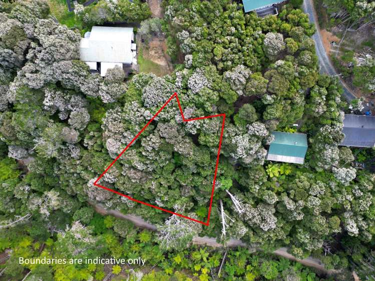 34 Schoolhouse Bay Road Kawau Island_14