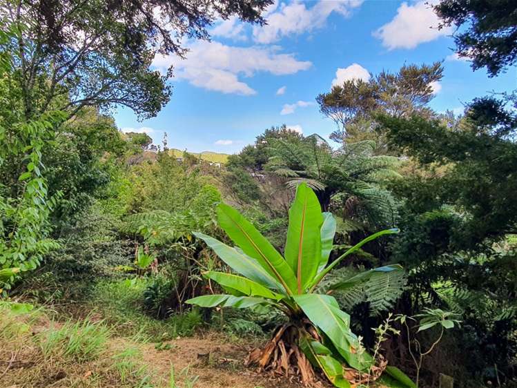 13 Tui Grove Paihia_18