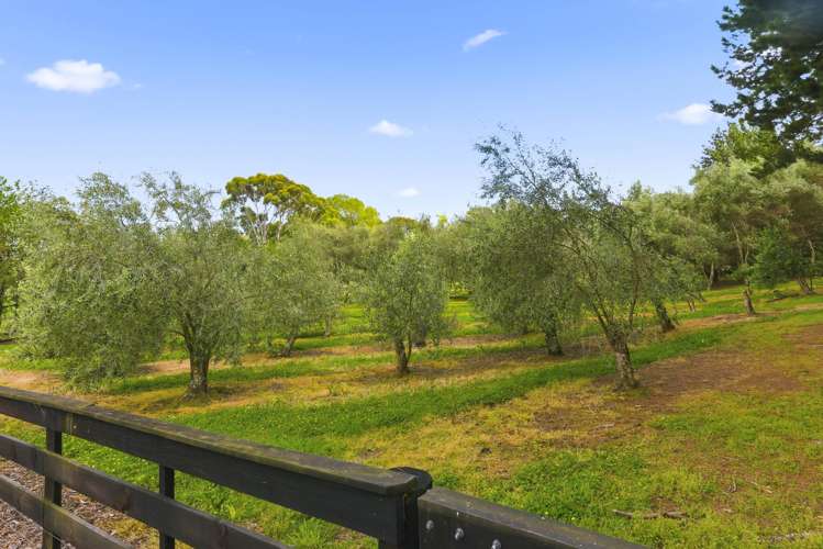 258 Waitohu Valley Road Otaki_38