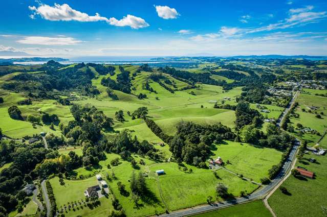 Matakana’s largest site for sale for first time in almost 100 years