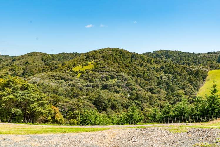 316 Waiotoi Road Ngunguru_14