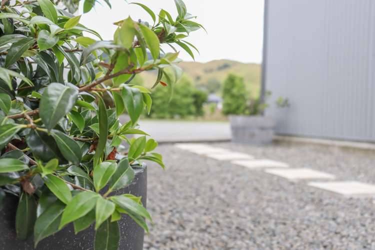 112 Gladstone Road Levin_15