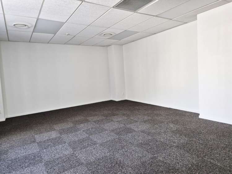 15 Walter Street Te Aro_5