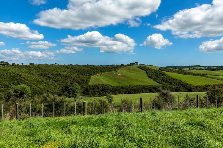 33 Karahiwi Lane Dairy Flat_15