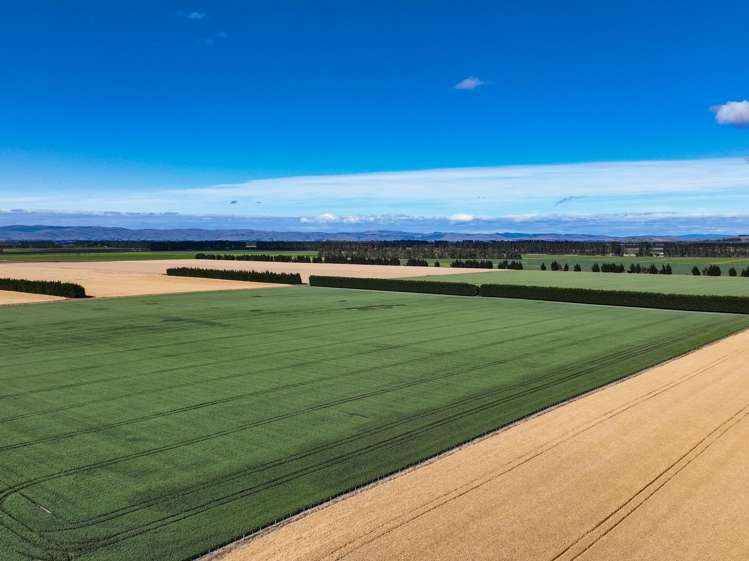 588 Freshford Plains Station Road Wendonside_5