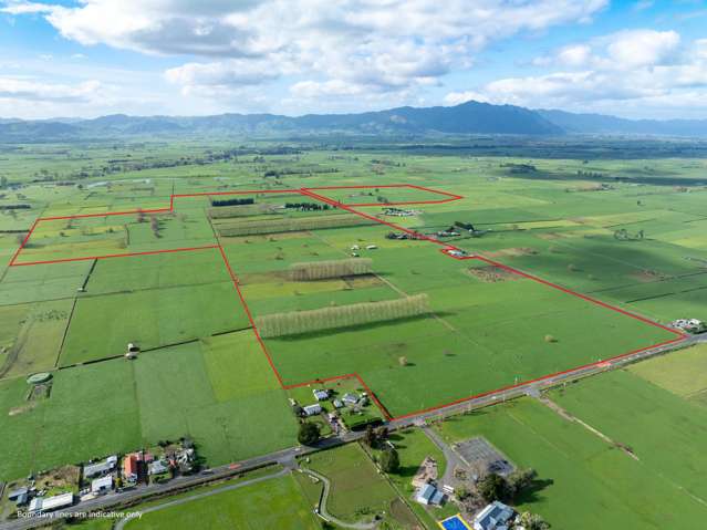 67 Wiseman Road Springdale_1