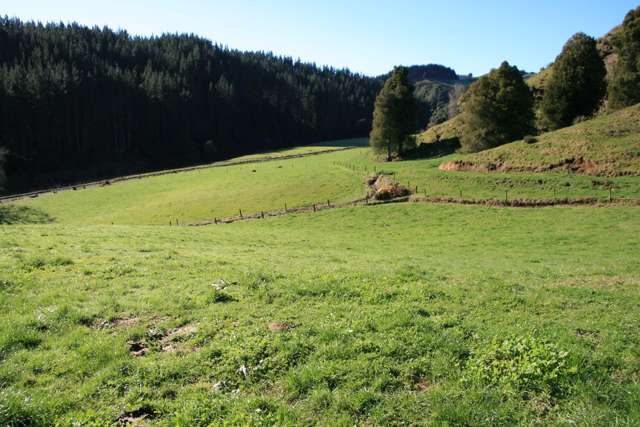 698 Mangaoapa Road Pohokura and Surrounds_4