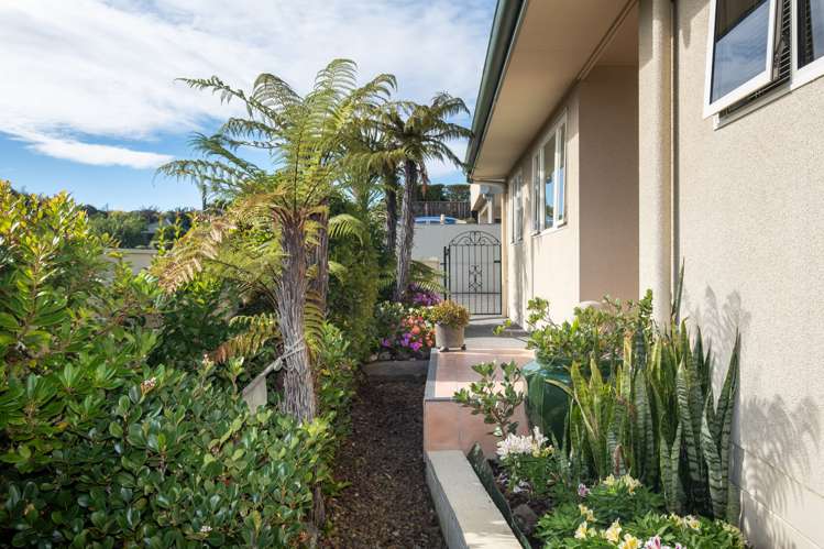 16 Busby Hill Havelock North_16