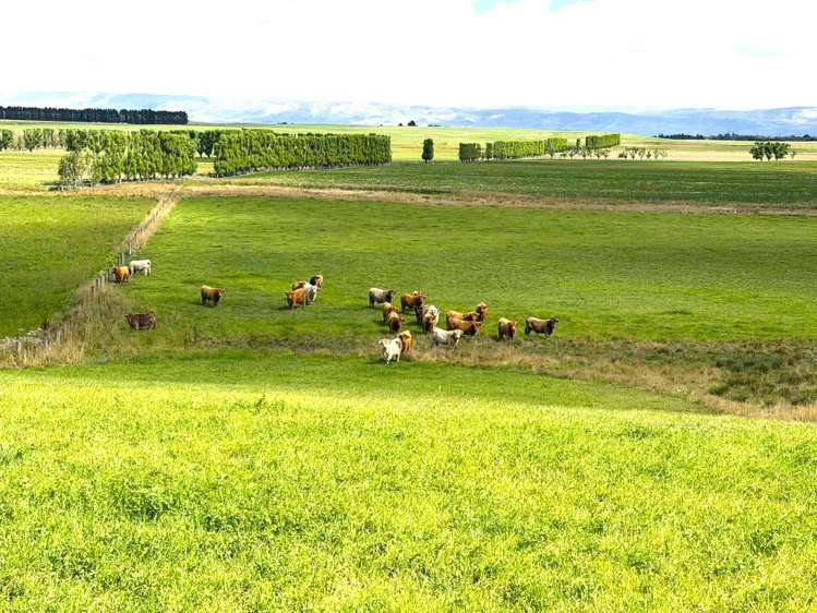 Bypass Road Ranfurly_16