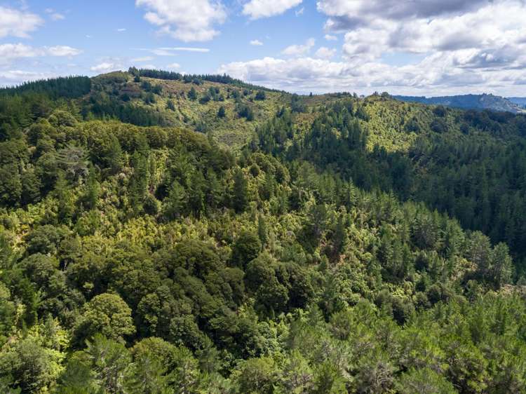 939 Kaiwhata Road Te Wharau_16