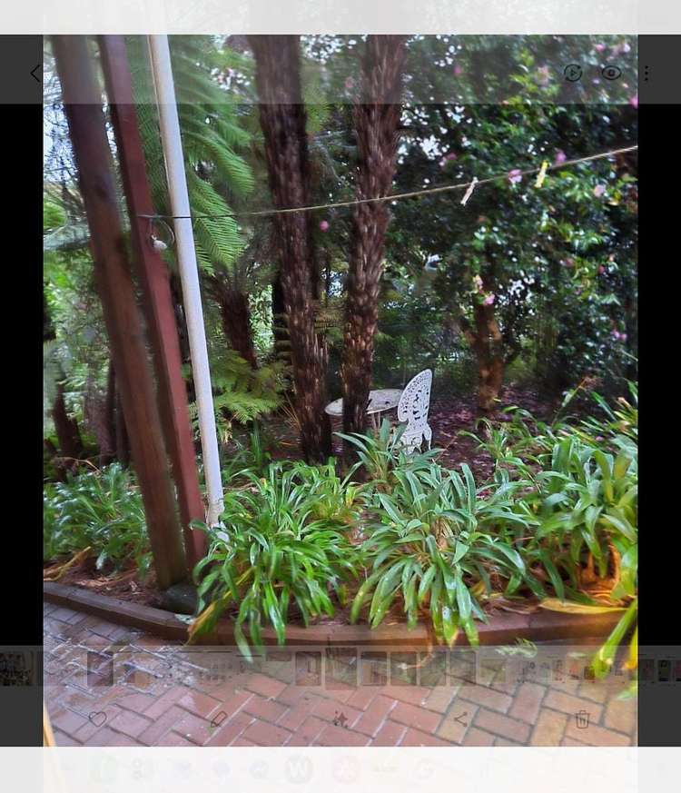 12B Mawson Avenue Torbay_6