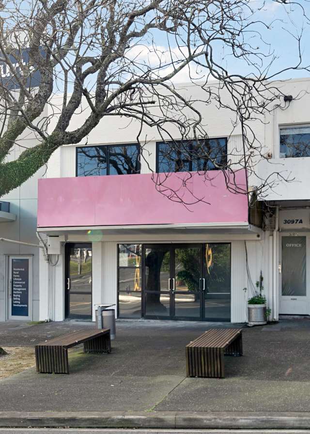 3099 Great North Road New Lynn_1