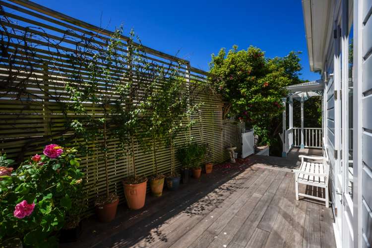 84a Rintoul Street Newtown_15