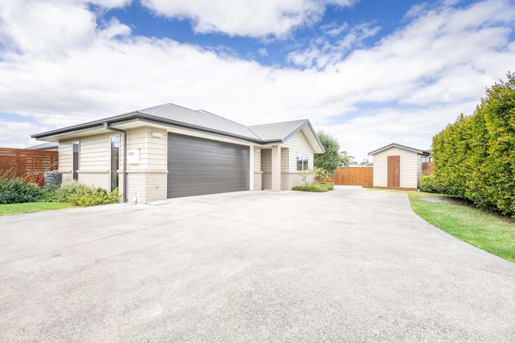 5 Pixie Lane Dargaville_1
