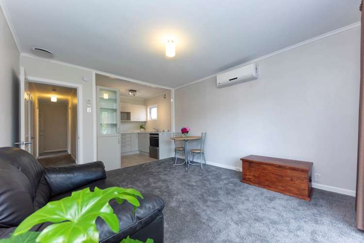 8 Tiki Street New Lynn_17