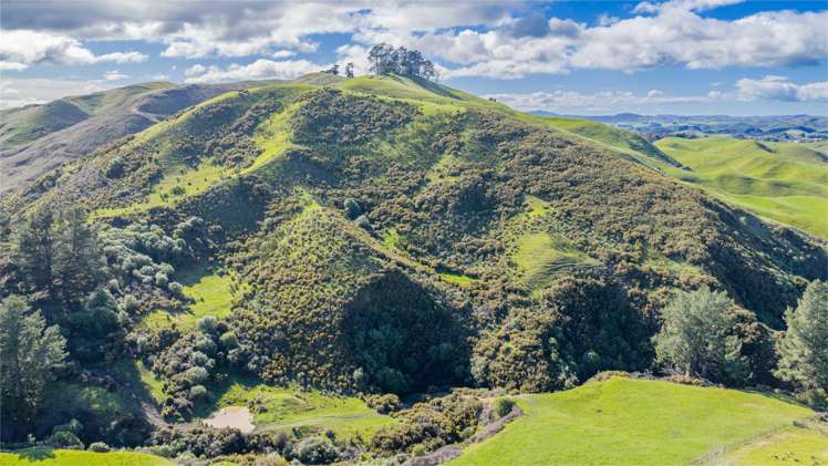 418 Tikokino Road Waipawa_6